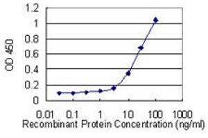 Detection limit for recombinant GST tagged REEP5 is 1 ng/ml as a capture antibody. (REEP5 抗体  (AA 113-184))