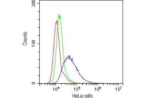 Flow cytometry testing of human HeLa cells with CD58 antibody at 1ug/10^6 cells (cells blocked with goat sera) (CD58 抗体)