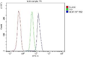 anti-Melanocortin 4 Receptor (MC4R) (C-Term) antibody