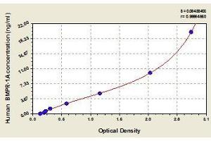 Typical standard curve (BMPR1A ELISA 试剂盒)