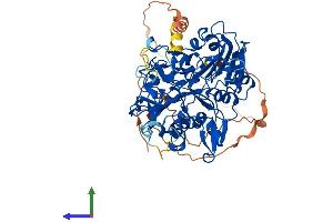 Protein Structure (PS) image for Tyrosyl-DNA Phosphodiesterase 1 (TDP1) (AA 1-608) protein (His tag) (ABIN7555891)