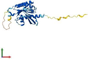 Protein Structure (PS) image for RAB20, Member RAS Oncogene Family (RAB20) (AA 1-234) protein (His tag) (ABIN7551154)