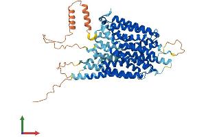 Protein Structure (PS) image for Solute Carrier Family 43, Member 1 (SLC43A1) (AA 1-559) protein (His tag) (ABIN7554377)