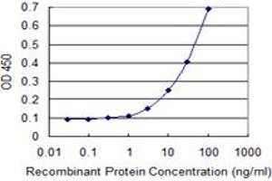 Detection limit for recombinant GST tagged ABLIM1 is 1 ng/ml as a capture antibody. (ABLIM1 抗体  (AA 637-736))