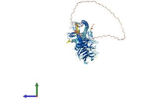 AlphaFold protein structure predicition of Mouse Recombinant Trim56 Protein, UniprotID Q80VI1