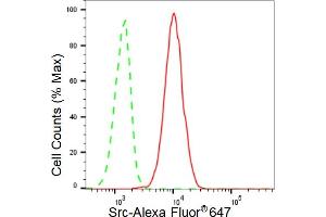 Flow cytometric analysis of Src expression in C2C12 cells using Src antibody (ABIN7800053), 1:2,000). (Recombinant Src 抗体)