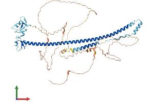 Protein Structure (PS) image for Tripartite Motif Containing 29 (TRIM29) (AA 1-588) protein (His tag) (ABIN7544771)