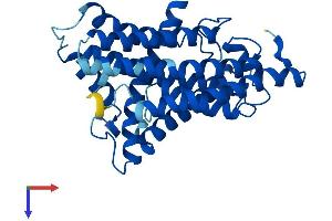 MT-ND1 Protein (AA 1-318) (His tag)
