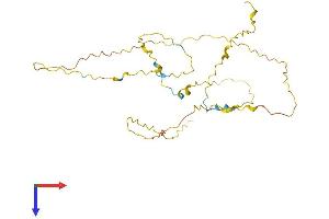 Proline rich 32 (PRR32) (AA 1-284) protein (His tag)