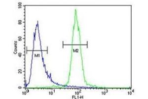 RPEL1 antibody flow cytometric analysis of K562 cells (green) compared to a negative control cell (blue). (Ribulose-5-Phosphate-3-Epimerase-Like (RPEL1) (AA 187-215) 抗体)