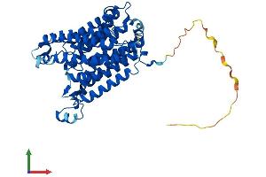 Protein Structure (PS) image for Rh Family C Glycoprotein (RHCG) (AA 1-479) protein (His tag) (ABIN7551398)