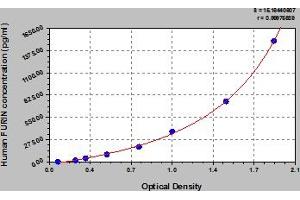 Typical Standard Curve (FURIN ELISA 试剂盒)