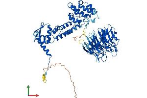 Protein Structure (PS) image for Kelch-Like 20 (KLHL20) (AA 1-609) protein (His tag) (ABIN7554383)