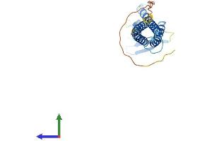 Protein Structure (PS) image for Claudin 10 (CLDN10) (AA 1-228) protein (His tag) (ABIN7546611)