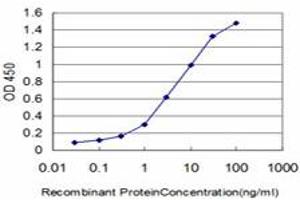 Detection limit for recombinant GST tagged EPHB3 is approximately 0.