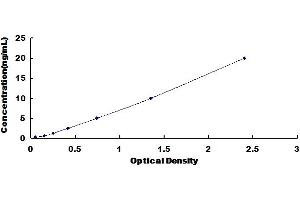 Typical Standard Curve for Rat TOP2 ELISA. (TOP2 ELISA 试剂盒)