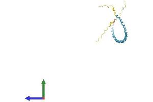 Protein Structure (PS) image for Small Proline Rich Protein 1A (SPRR1A) (AA 1-144) protein (His tag) (ABIN7557775)
