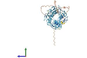 Protein Structure (PS) image for Zinc Finger Protein 19 (ZNF19) (AA 1-458) protein (His tag) (ABIN7545593)
