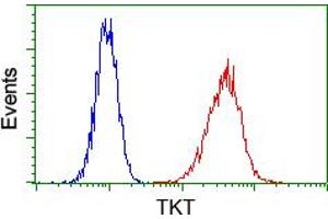 Flow cytometric analysis of Hela cells, using anti-TKT antibody (ABIN2453725), (Red) compared to a nonspecific negative control antibody (TA50011) (Blue). (TKT 抗体)