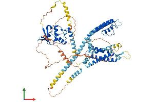 Protein Structure (PS) image for Potassium Voltage-Gated Channel, Shal-Related Subfamily, Member 2 (KCND2) (AA 1-630) protein (His tag) (ABIN7565260)