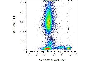 Flow cytometry analysis (surface staining) of CD8 in human peripheral blood with anti-CD8 (MEM-87) purified, GAM-APC. (CD8 抗体)