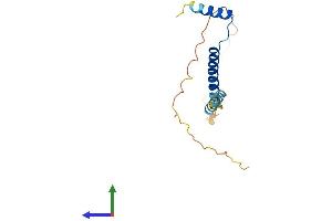 AlphaFold protein structure predicition of Human Recombinant EID2B Protein, UniprotID Q96D98