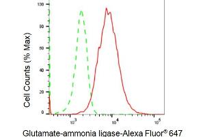 Flow cytometric analysis of Glutamate-ammonia ligase expression in HeLa cells using Glutamate-ammonia ligase antibody (ABIN7798741), 1:2,000).