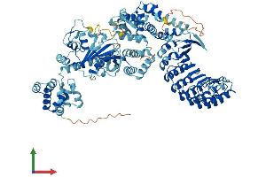 Protein Structure (PS) image for Nucleotide-Binding Oligomerization Domain Containing 1 (NOD1) (AA 1-953) protein (His tag) (ABIN7554773)