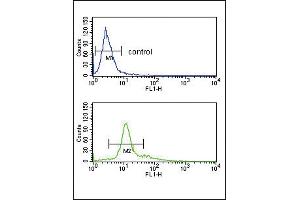 PCSK2 Antibody (Center) (ABIN391909 and ABIN2841723) flow cytometry analysis of K562 cells (bottom histogram) compared to a negative control cell (top histogram). (PCSK2 抗体  (AA 318-346))