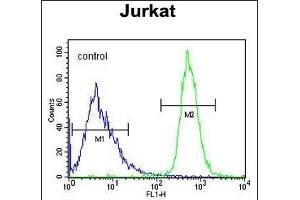 FFAR3 Antibody (C-term) (ABIN651415 and ABIN2840225) flow cytometric analysis of Jurkat cells (right histogram) compared to a negative control cell (left histogram). (FFAR3 抗体  (C-Term))