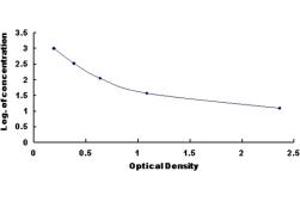 Typical standard curve (Endothelin 2 ELISA 试剂盒)