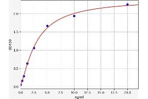 Glutamic-Oxaloacetic Transaminase 1, Soluble (Aspartate Aminotransferase 1) (GOT1) ELISA Kit