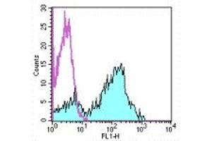 Image no. 1 for anti-CD5 (CD5) antibody (FITC) (ABIN473482) (CD5 抗体  (FITC))