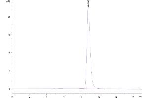 The purity of Cynomolgus CD200 is greater than 95 % as determined by SEC-HPLC.