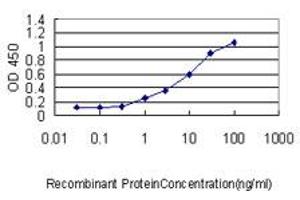 Detection limit for recombinant GST tagged SNX25 is approximately 0. (SNX25 抗体  (AA 1-483))