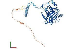 Protein Structure (PS) image for Brix Domain Containing 5 (RPF1) (AA 1-349) protein (His tag) (ABIN7558230)