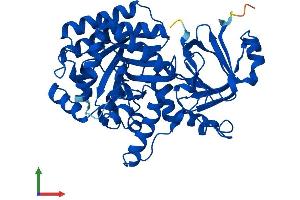 Protein Structure (PS) image for Guanine Deaminase (GDA) (AA 1-454) protein (His tag) (ABIN7548225)