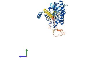 AlphaFold protein structure predicition of Human Recombinant PLCXD2 Protein, UniprotID Q0VAA5