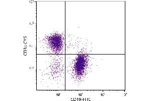 BALB/c mouse splenocytes were stained with Hamster Anti-Mouse CD3ε-CY5. (CD3 epsilon 抗体  (Cy5))