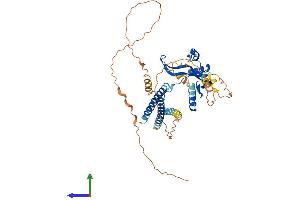 Protein Structure (PS) image for TAF7-Like RNA Polymerase II, TATA Box Binding Protein (TBP)-Associated Factor, 50kDa (TAF7L) (AA 1-471) protein (His tag) (ABIN7560956)