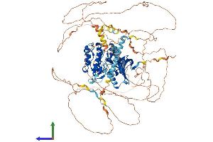 Protein Structure (PS) image for Salt-Inducible Kinase 2 (SIK2) (AA 1-926) protein (His tag) (ABIN7555482)
