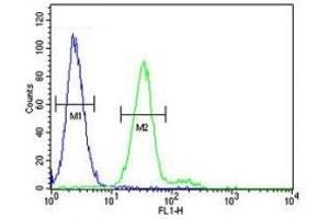 CD117 antibody flow cytometric analysis of 293 cells (green) compared to a negative control cell (blue). (KIT 抗体  (AA 680-711))