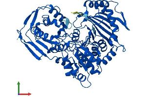 AlphaFold protein structure predicition of Human Recombinant PGM1 Protein, UniprotID P36871