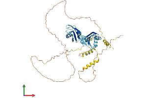 AlphaFold protein structure predicition of Human Recombinant RBM23 Protein, UniprotID Q86U06