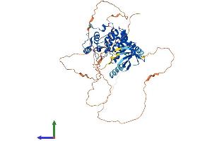 AlphaFold protein structure predicition of Mouse Recombinant Cdkl2 Protein, UniprotID Q9QUK0 (CDKL2 Protein (AA 1-568) (His tag))