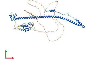 Protein Structure (PS) image for Tripartite Motif Containing 55 (TRIM55) (AA 1-548) protein (His tag) (ABIN7544802)