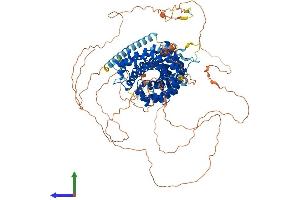 Protein Structure (PS) image for Catenin (Cadherin-Associated Protein), delta 1 (CTNND1) (AA 1-968) protein (His tag) (ABIN7553599)
