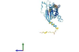 Protein Structure (PS) image for Septin 2 (SEPT2) (AA 1-361) protein (His tag) (ABIN7563239)