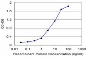 Detection limit for recombinant GST tagged UMPS is approximately 0. (UMPS 抗体  (AA 381-479))