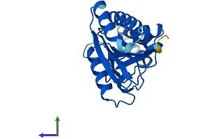 Protein Structure (PS) image for SSU72 RNA Polymerase II CTD Phosphatase Homolog (SSU72) (AA 1-194) protein (His tag) (ABIN7560749)